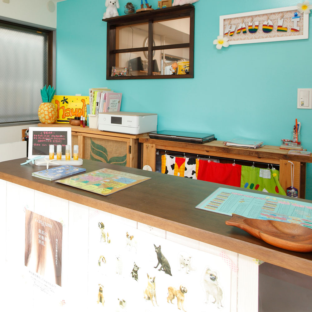 Dog Salon hauori（ハウオリ）